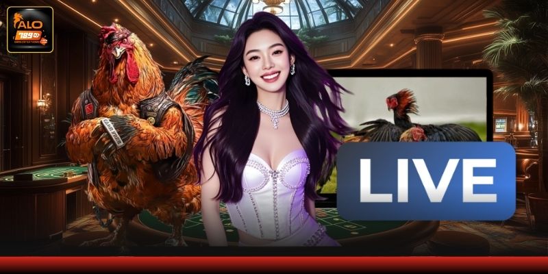 Chia sẻ kinh nghiệm cho thành viên mới Chia sẻ kinh nghiệm cho thành viên mới